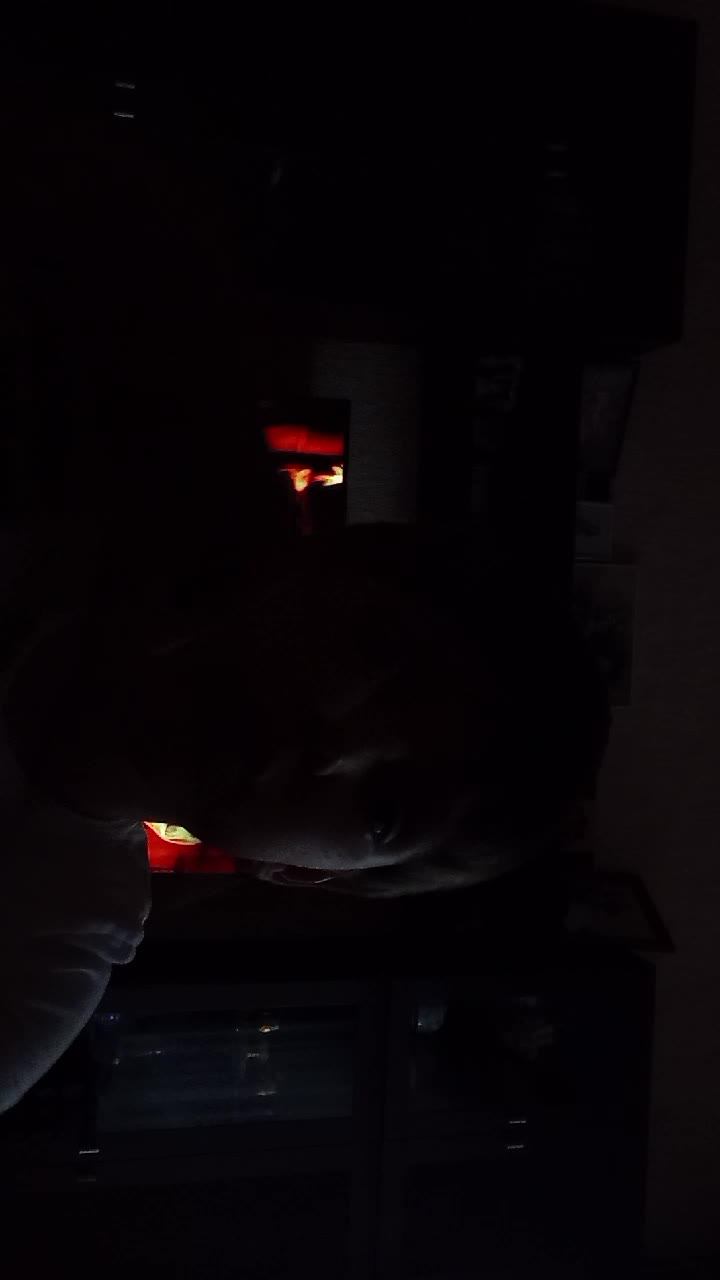 я с подписчиками