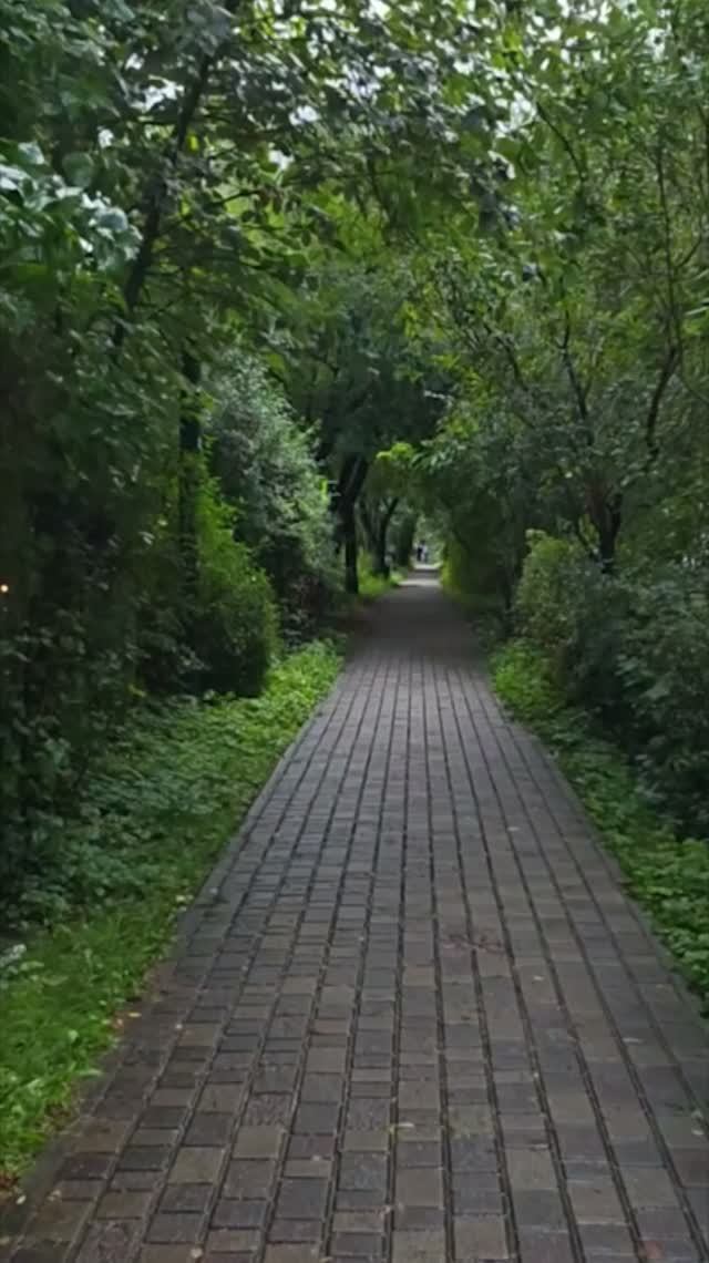 Прогулка в дождливый день