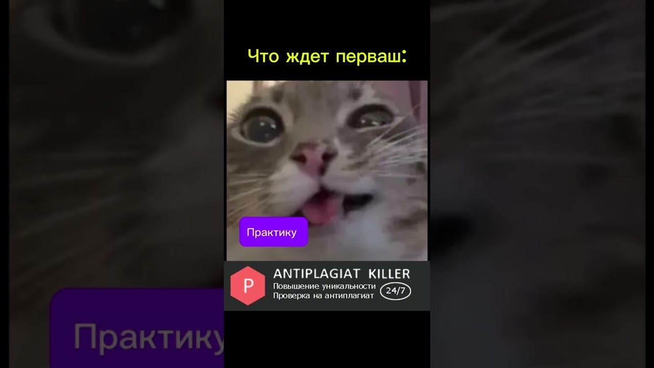 Ну не всё так плохо, ребята)  #мем #универ