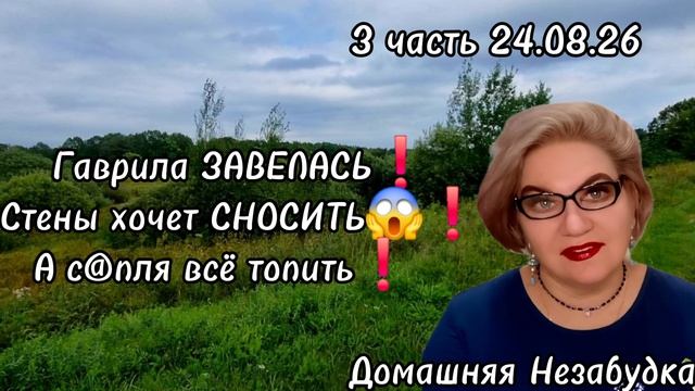 3 часть. Гаврила ЗАВЕЛАСЬ😱❗️Стены хочет СНОСИТЬ❗️А с@пля всё топить❗️