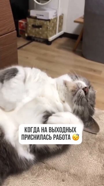Честно