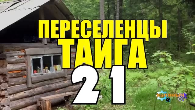 ПЕРЕСЕЛЕНЦЫ В ТАЙГЕ  ЗАМУЖ ЗА СТАРИКА  КАК ВЫЙТИ ЗАМУЖ ЗА БОГАТОГО  СУДЬБА ЧЕЛОВЕКА 21
