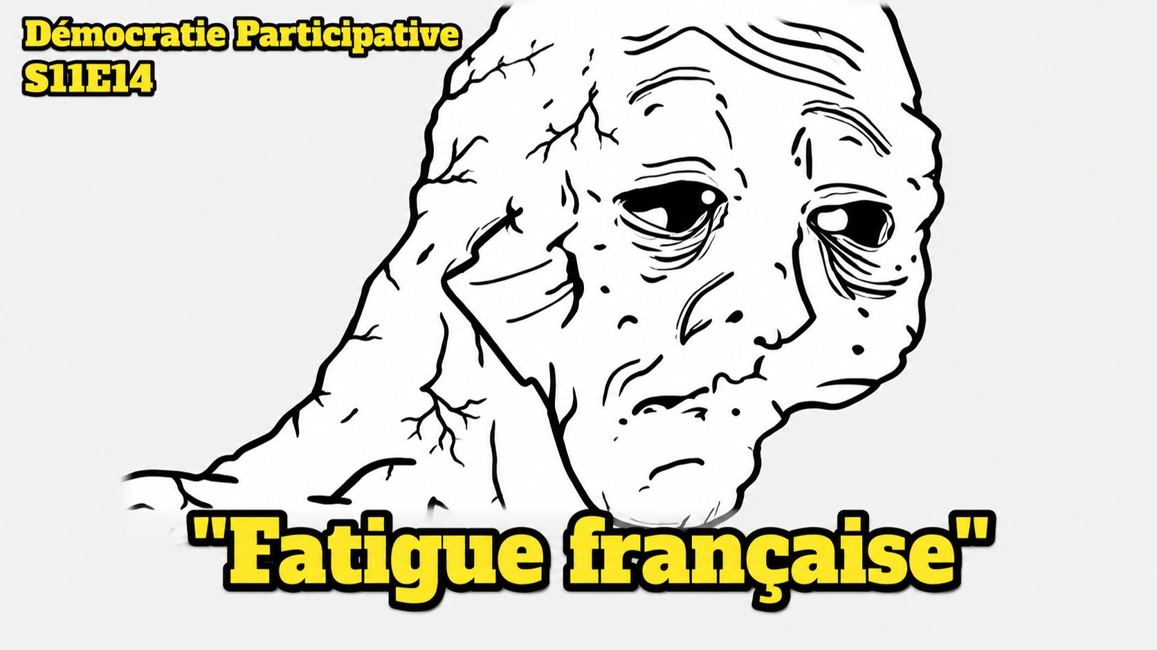 Démocratie Participative S11E14 : “Fatigue Française” [Flokossama]