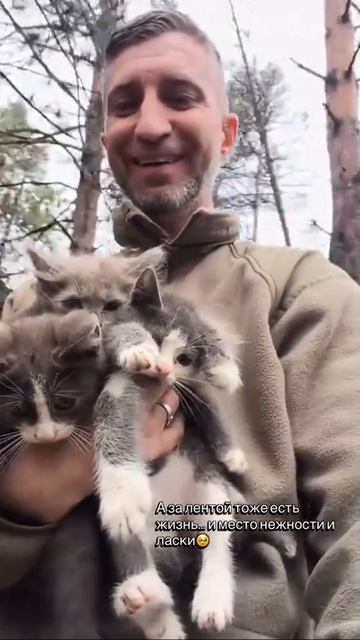 🐱❤️ Спасённые котята  Ещё одна маленькая добрая история с передовой — наши бойцы спасли пушистых ма