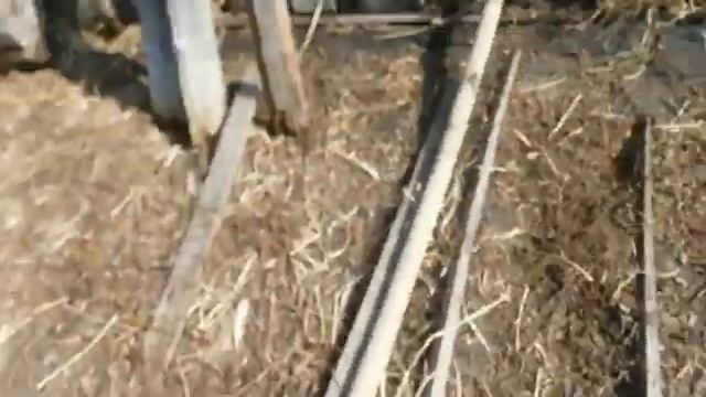 Как промыть скважину от песка и достать застрявший насос Нужна мотопомпа пожарный рукав вода
