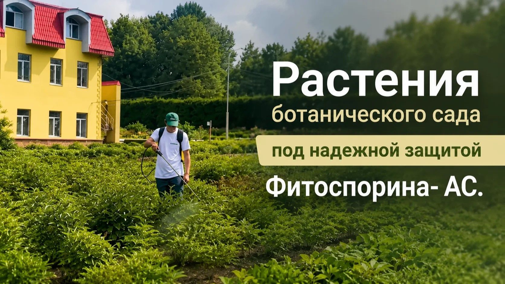 Спасаем пионы от болезней в Ботаническом саду Уфы