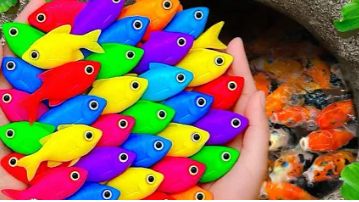 🐠 Приключение у водоёма: редкие рыбки и малыш-угорь в кадре