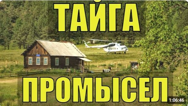 РАССКАЗЫ БЫВАЛЫХ ЖИЗНЬ В ТАЙГЕ ПРОМЫСЕЛ ХОЗЯИН в ТАЙГЕ ОХОТА на ГУСЯ СУДЬБА ИСТОРИИ из ЖИЗНИ в ЛЕСУ