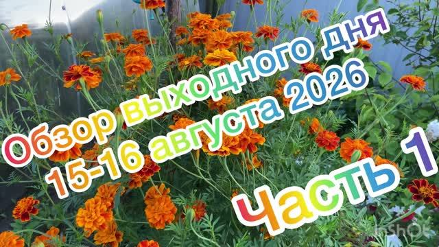 Обзор выходного дня 15-16 августа. 2026