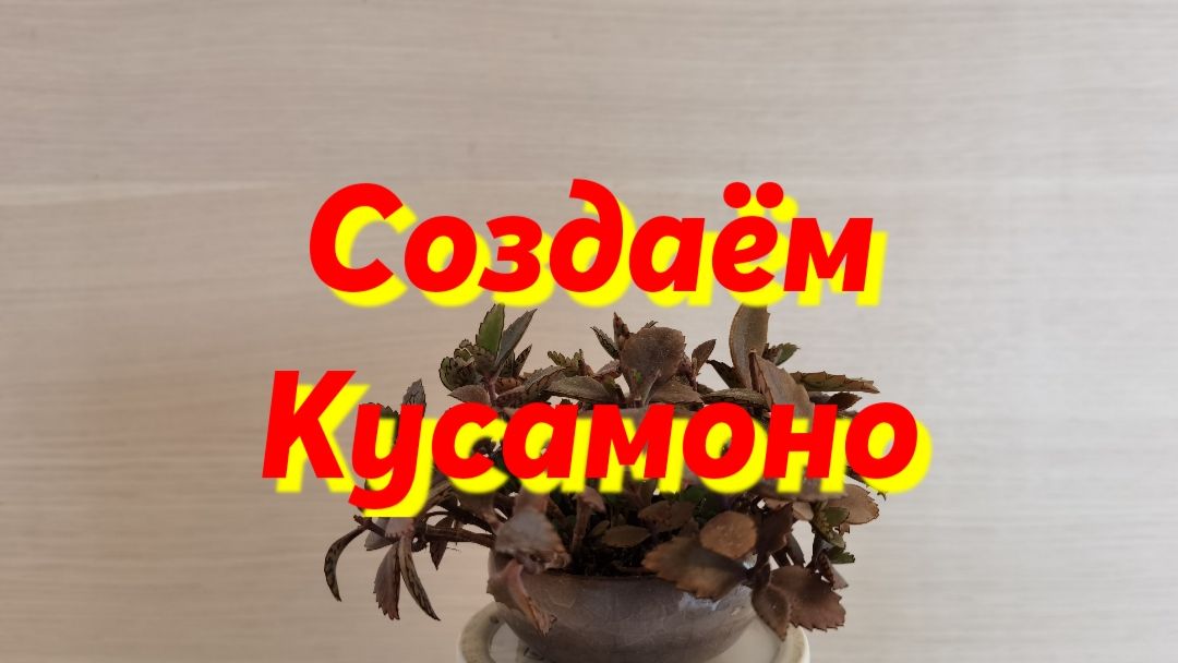 Как создать кусамоно?