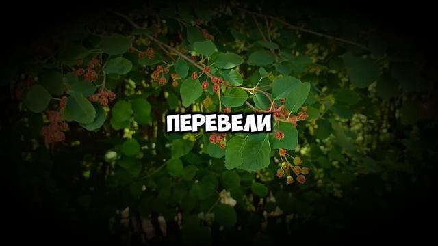 «Здесь теперь я хозяйка!» — заявила свекровь в моей квартире. Но я нашла её тайный ключ