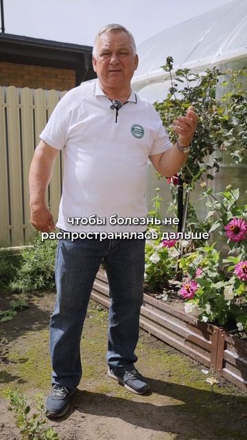 Чернеют орехи на дереве? Спасаем урожай!