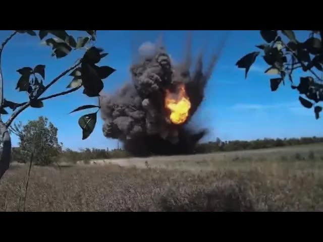 На западе призвали к массовой мобилизации женщин в сопредельном государстве