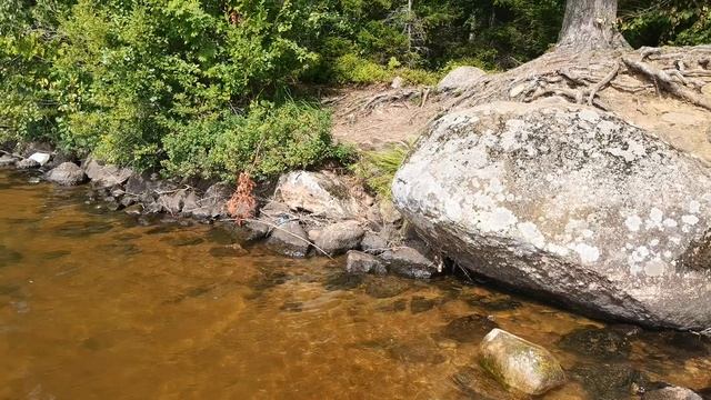 Зеркальное озеро - водоём ледникового происхождения с прозрачной водой на Карельском перешейке.