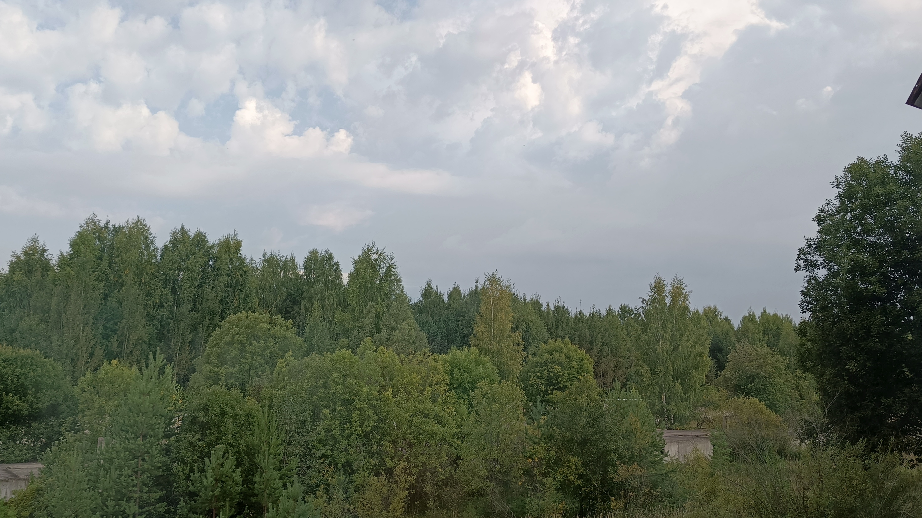 24-08-2026Влогпонедельник кабачкиогурцы  снова на кухне жарко