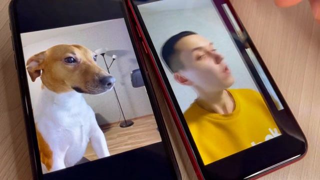 СТОИТ ЛИ ПЕРЕПЛАЧИВАТЬ? Сравнение iPhone XR и 11 в 2022 году
