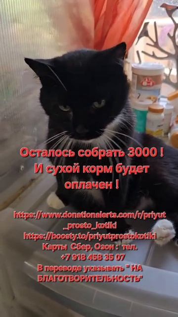 Осталось собрать...