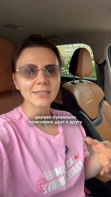 Здание без единого гвоздя — Кижи