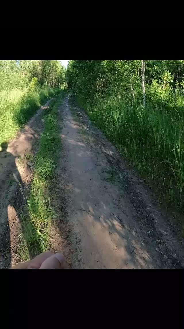 «Кровососный челлендж»