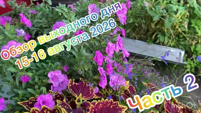 Обзор выходного дня 15-16 августа. Часть 2.