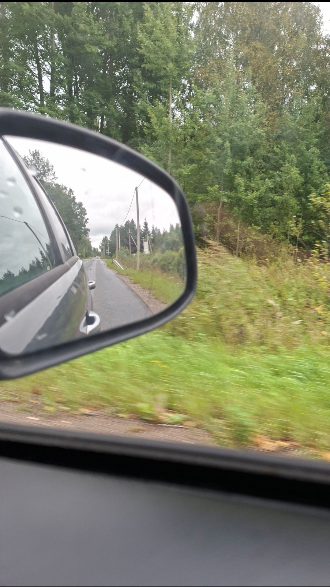 Дождливый август 26