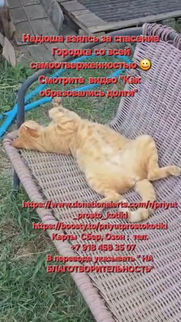 Надя