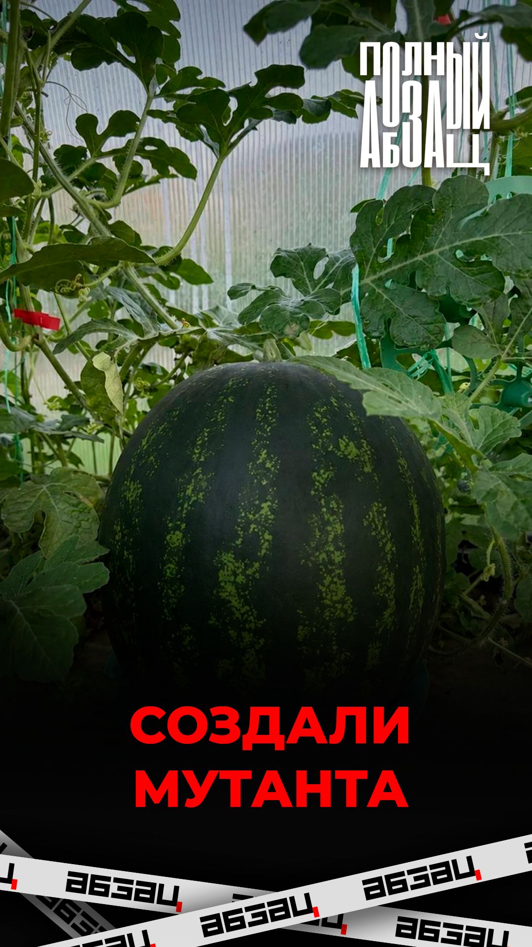 Создали мутанта