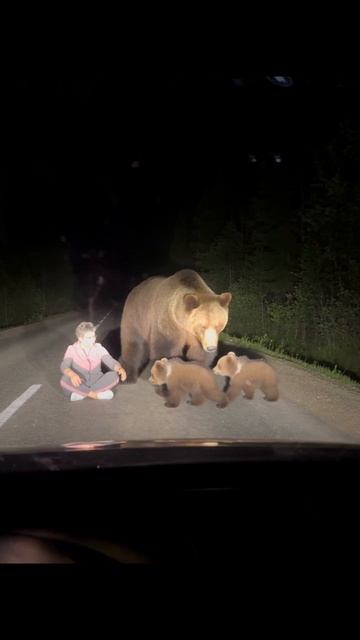 Она подошла к медведице… а потом появились МЕДВЕЖАТА  🐻 #Shorts #mimi #нейросети #Ai #Ии #Контент