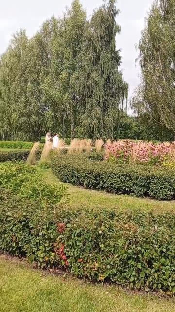 VID_20260824_130849~2