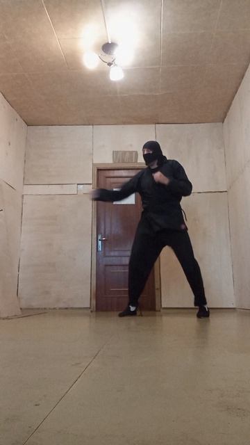 Крайне Северный Ниндзя: 24 Августовское Чудо II (24.08.2026) Very Nordic Ninja: 24 August Wonder II