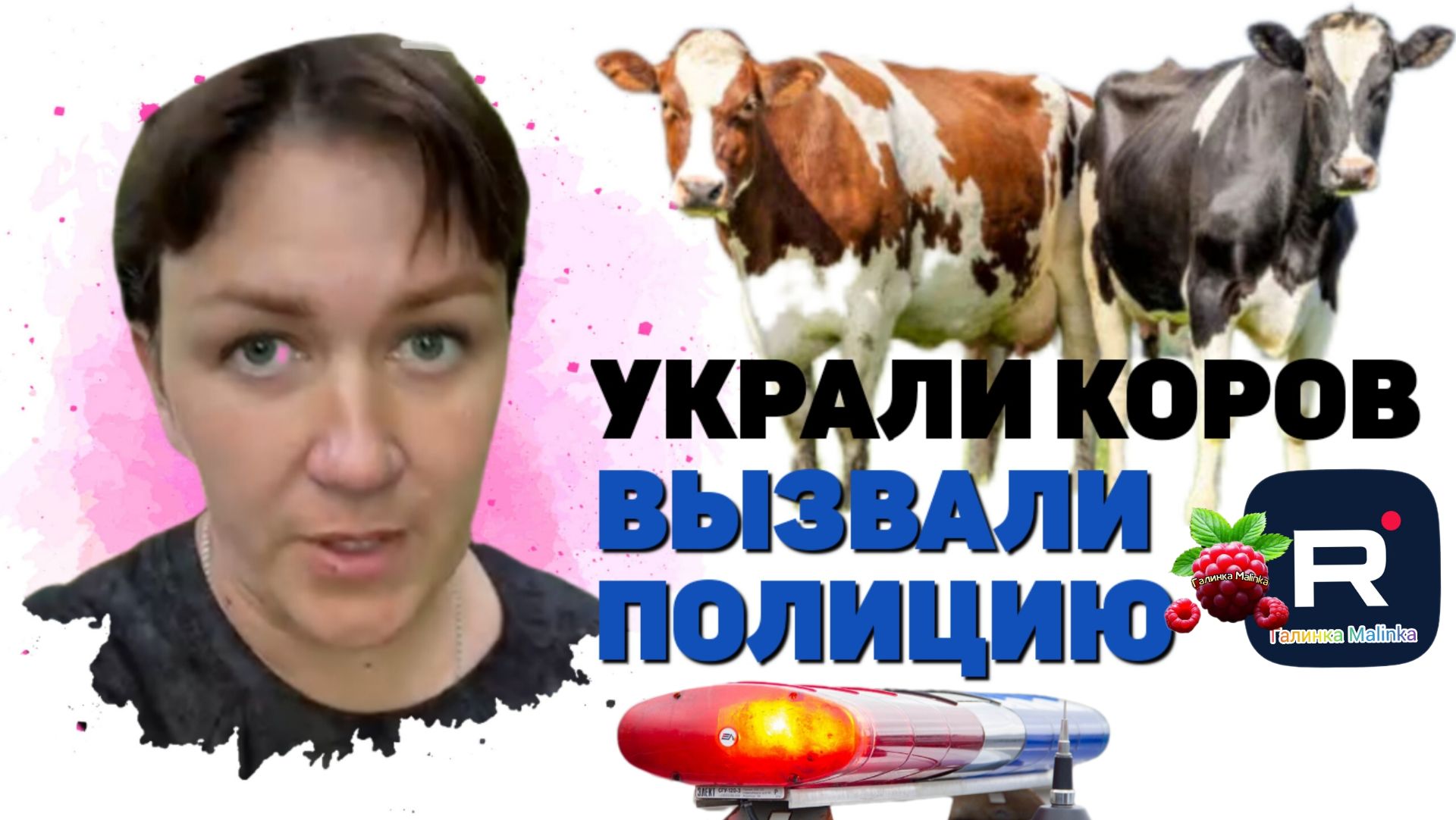 Украли коров. Вызвали Полицию /Деревенский дневник очень многодетной мамы Обзор