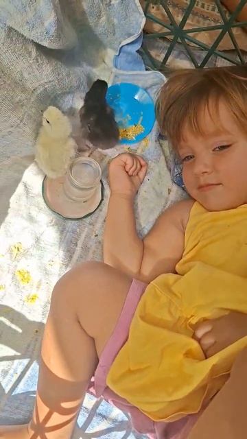 Золотоволоска и её пушистая команда 🐥