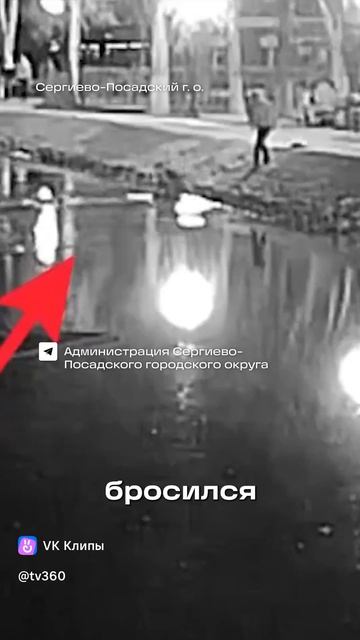 В Сергиевом Посаде прохожий спас женщину, которая упала в пруд