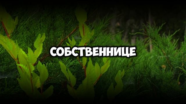 «Сестра уже едет в твою квартиру», — муж отдал ей ключ. Но замок не открылся | История из жизни