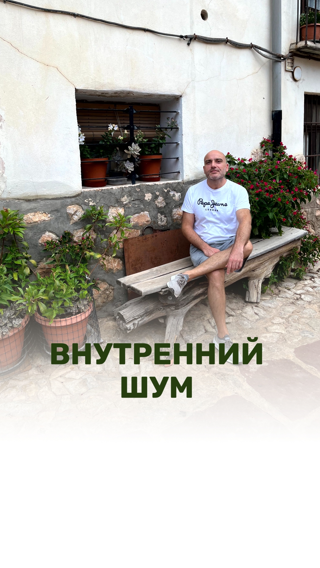 ВНУТРЕННИЙ ШУМ