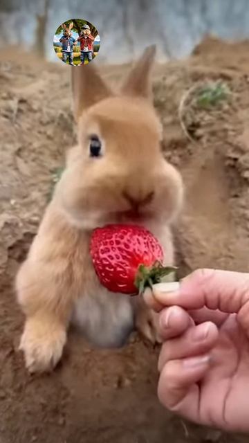 Вкусно жуются