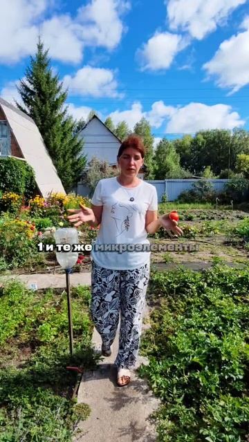 Неправильные соседи на грядках