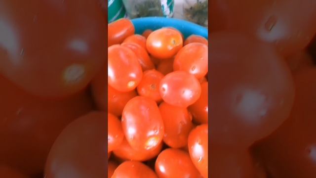 Мои заготовочки
