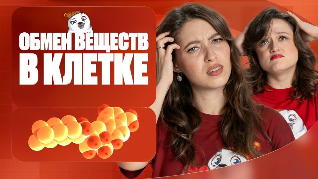 Обмен веществ в клетке | Полугодовик | ЕГЭ-2026 с Биологическим Тюленем | Stepenin.ru