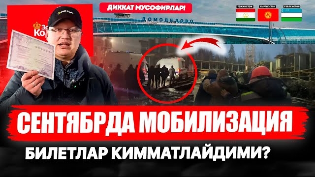 🍿 СЕНТЯБРДА МОБИЛИЗАЦИЯ БОЛАДИМ? БИЛЕТЛАР КИММАТЛАЙДИМИ? 23.08.2026
