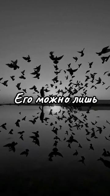 Без названия-7