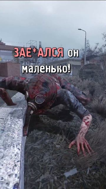Тяжкие будни Снорка в Зоне