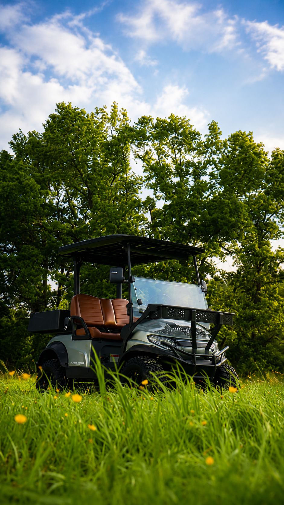 Комфорт передвижения в каждой детали steviman гольфкар golfcars гольф стевиман comfort