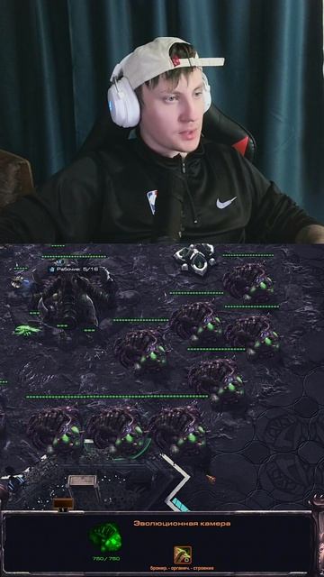 #dccentr23 #starcraft2 #starcraft #starcraftbroodwar