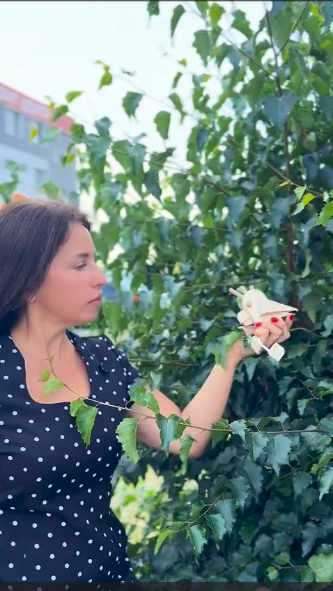 Птичка напела … 🐦⬛