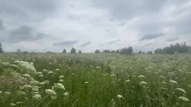 Перхурово