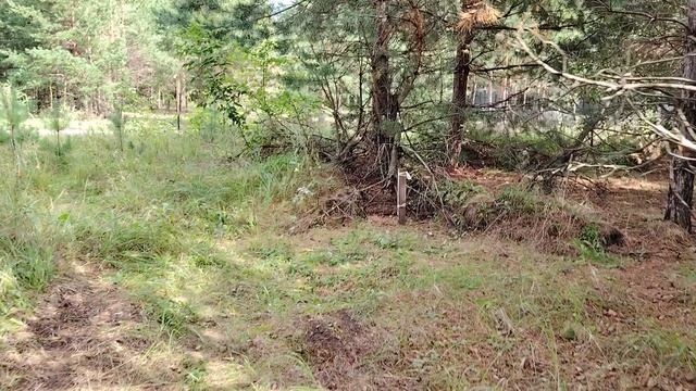 360 - 24 августа 2026 г. Перед установкой стропильной системы.