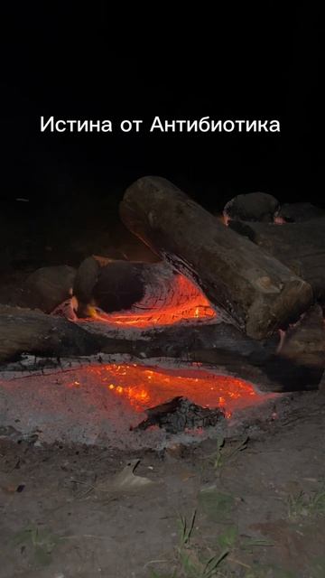 запомни