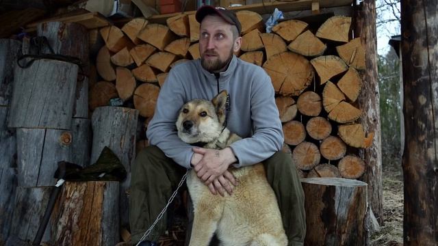 2 МЕСЯЦА ОХОТЫ НА МЕДВЕДЯ. ДОБЫТЬ С ПОДХОДА НА ПРИВАДЕ. ТАЁЖНЫЙ.