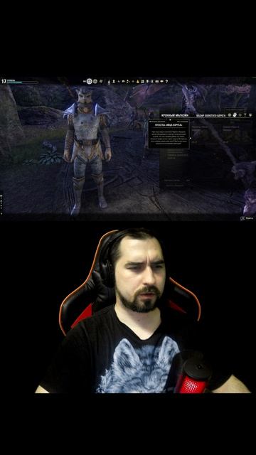 Когда на 60 секунд залетел в The Elder Scrolls Online